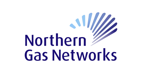 ngn_logo